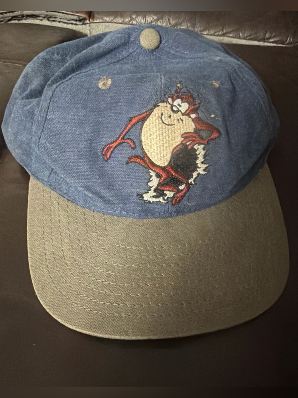 Vintage 1995 Looney Tunes - Taz Embroidered Snapback Hat -Head Start